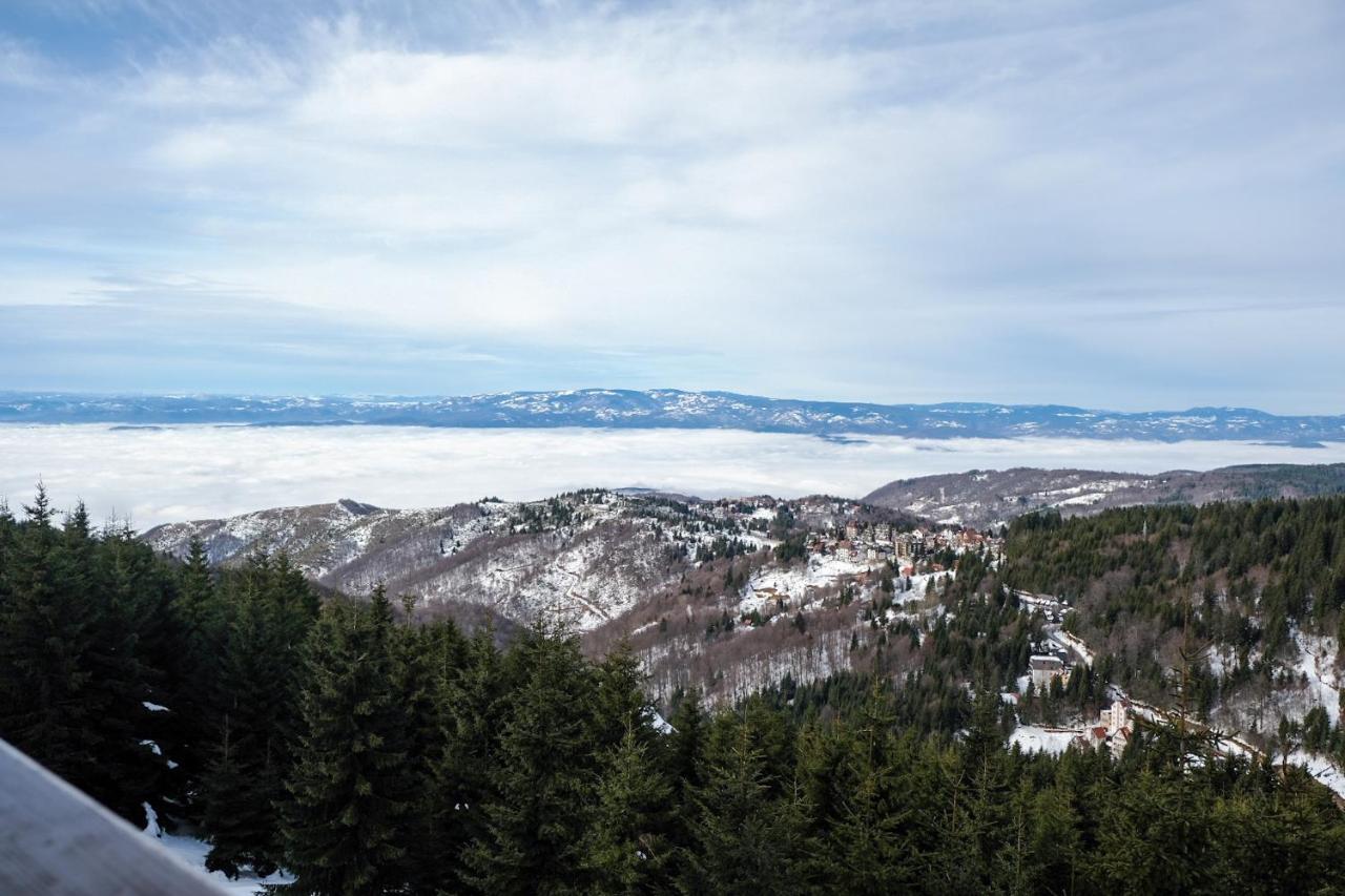 Vila Planinsko Blago Κοπαόνικ Εξωτερικό φωτογραφία